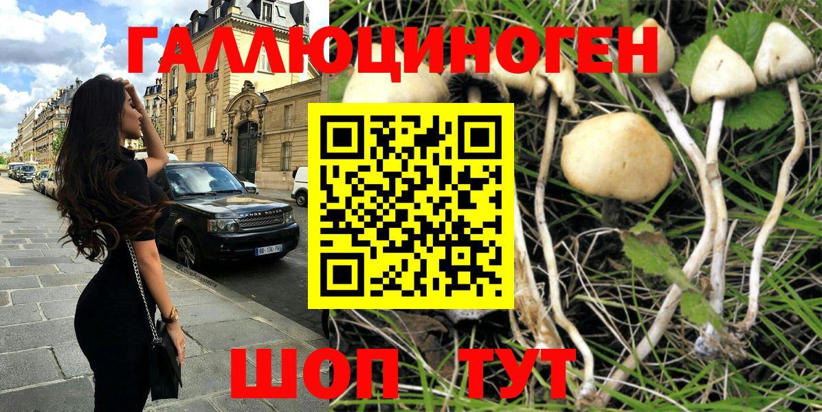 Галлюциногенные грибы Psilocybe  Вход с VPN  Изобильный  Галлюциногенные грибы Psilocybine cubensis 